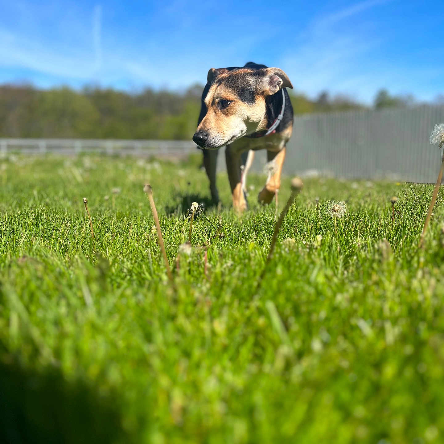 Tiny Girl
