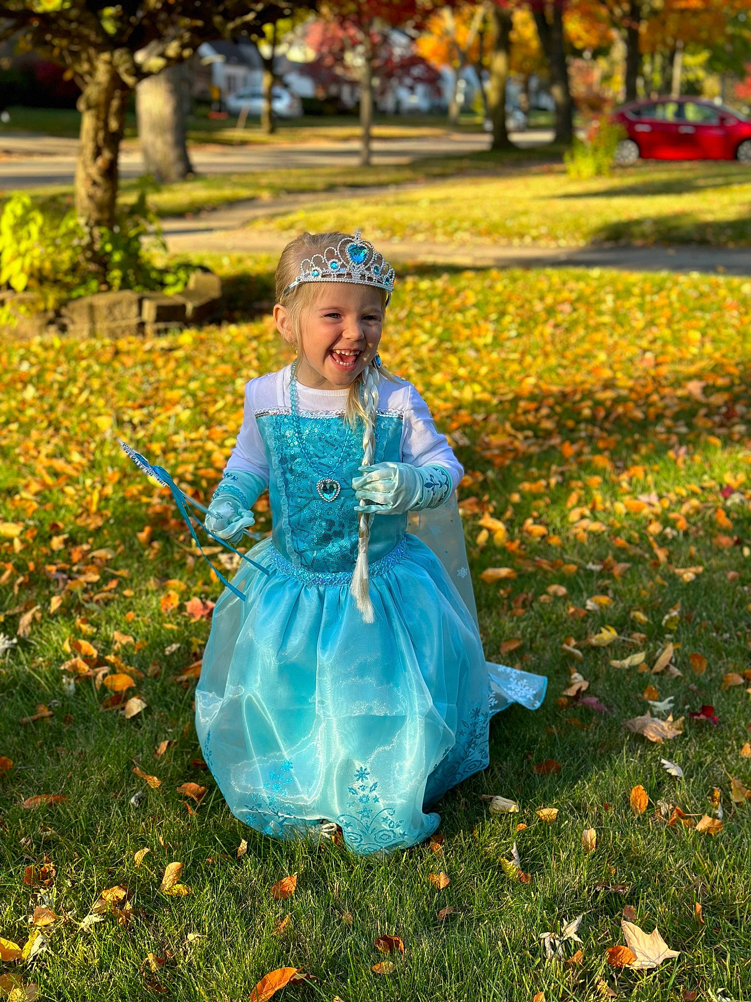 Piper joined the competition — help win amazing prizes! botany, deciduous, dress, electric_blue, event, fun, garden, grass, groundcover, happy, headwear, leaf, leisure, natural_landscape, people_in_nature, person, petal, plant, smile, sunlight