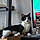 Nibbler