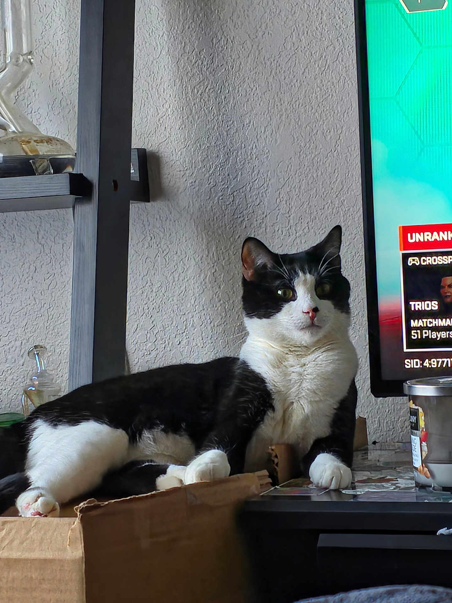 Nibbler