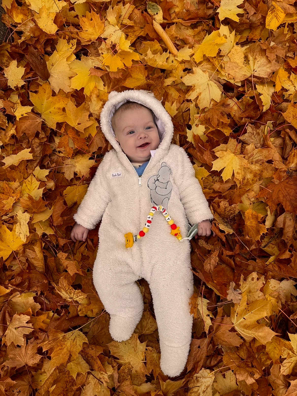 Elliott is registered to the contest to win money with this photo: baby, child, autumn, fall_leaves, leaves, outdoor, onesie, hooded_clothing, smiling, cute, infant, lying_down, seasonal, nature, playful, warm_clothing, person, forest_floor, happy, winnie_the_pooh