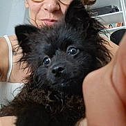 Yuna participe au concours pour gagner de l'argent avec cette photo : animal, black_dog, books, closeup, curious, cute, dog, face, furry, glasses, hand, holding, home, indoor, person, pet, portrait, selfie, shelf, white_clothing
