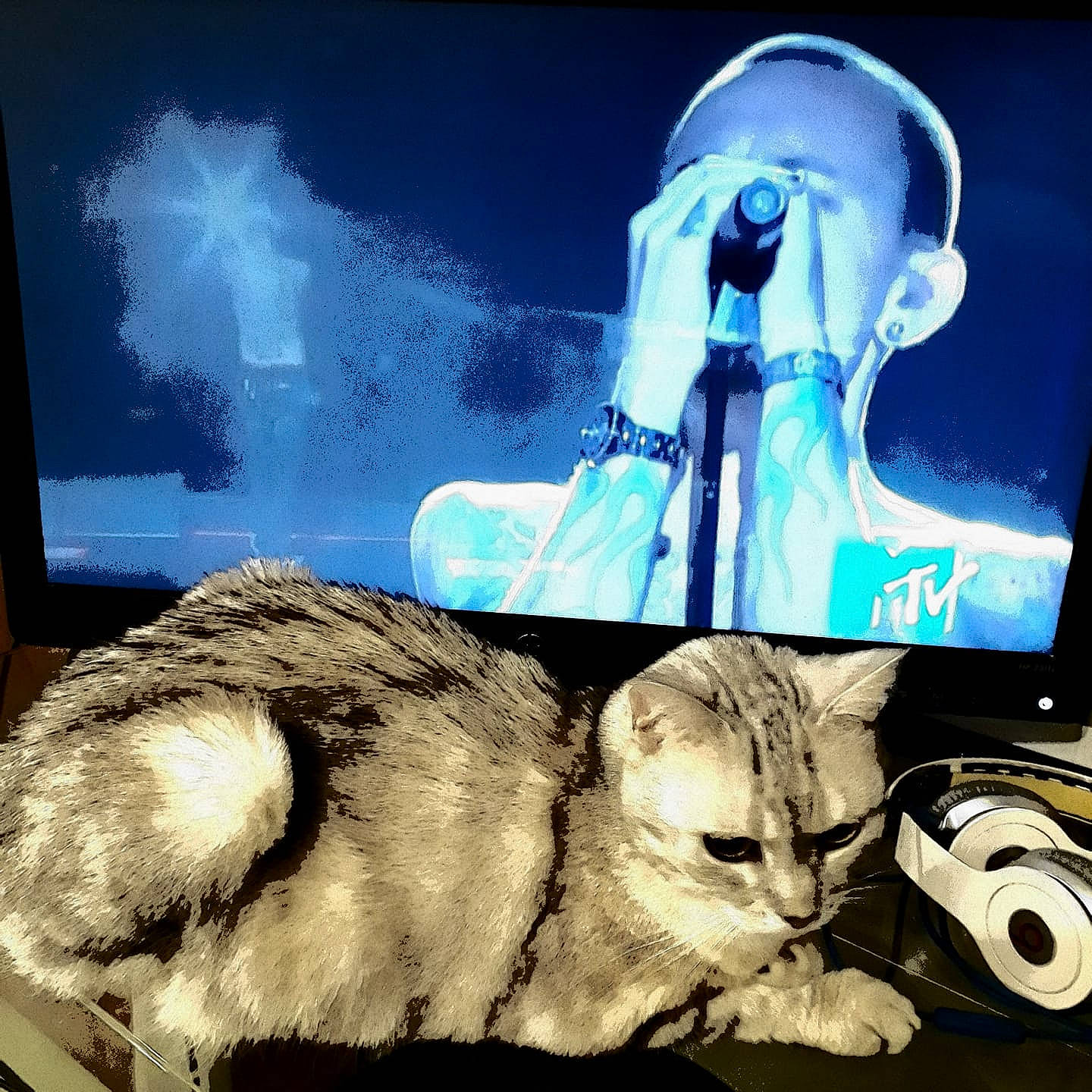 Pupuce a rejoint le concours — aidez-le/la à gagner de superbes lots ! animation, art, cat, ear, felidae, fictional_character, graphic_design, illustration, jaw, organ, sky, small_to_medium_sized_cats, whiskers