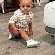 Gian joined the competition — help win amazing prizes! brown_shorts, casual_clothing, child, curious, cute, decor, floor, flooring, furniture, home, indoor, person, portrait, sitting, striped_shirt, toddler, toy_horse, white_shoes, wooden_floor, young_child
