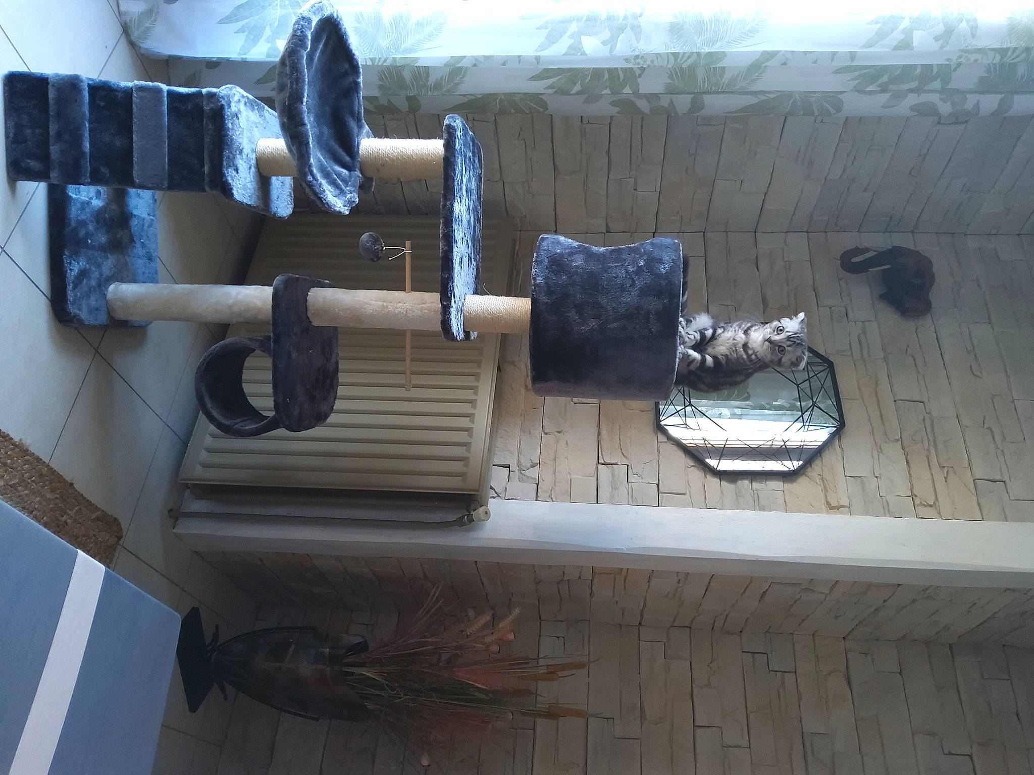 Tyson participe au concours pour gagner de l'argent avec cette photo : automotive_exterior, bumper, composite_material, engineering, font, gas, hardwood, machine, metal, plywood, wood