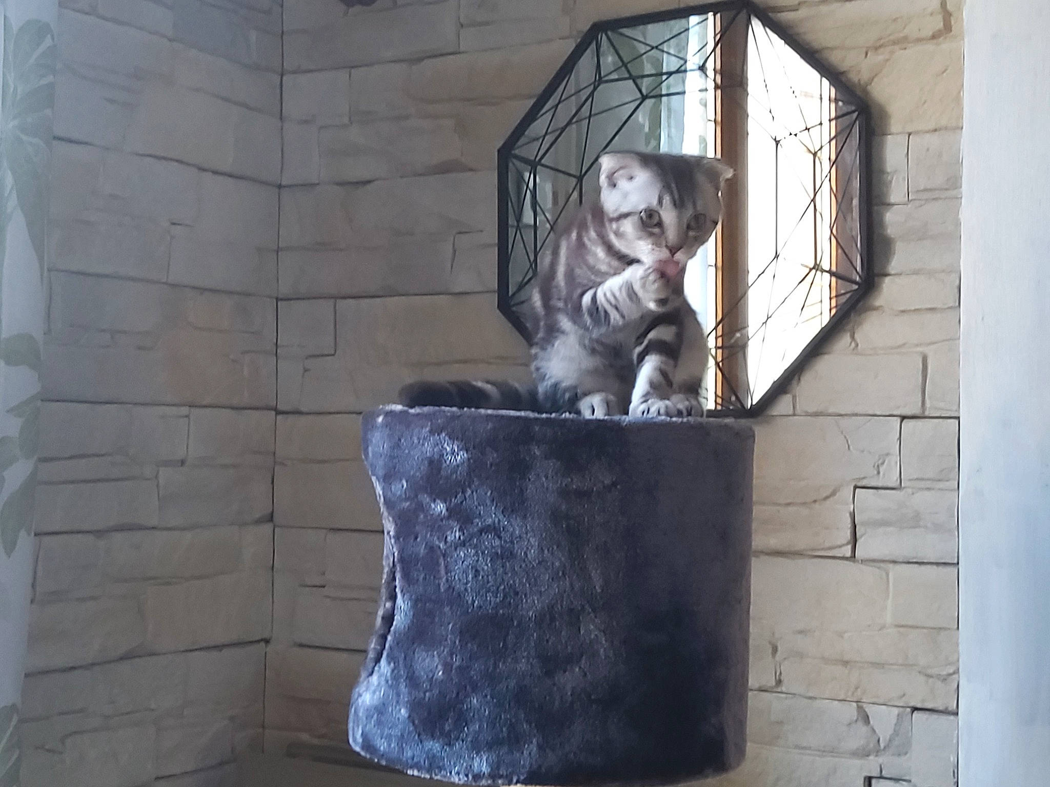 Tyson a rejoint le concours — aidez-le/la à gagner de superbes lots ! art, brick, brickwork, building, concrete, facade, font, grey, house, metal, monument, reflection, room, sculpture, stairs, statue, visual_arts, water, window, wood