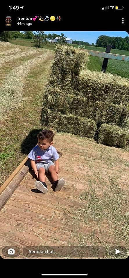 Johnathon joined the competition — help win amazing prizes! child, fun, garden, grass, grass_family, grassland, hedge, landscape, leisure, people_in_nature, person, plant, public_space, recreation, shorts, shrub, sitting, soil, summer, toddler