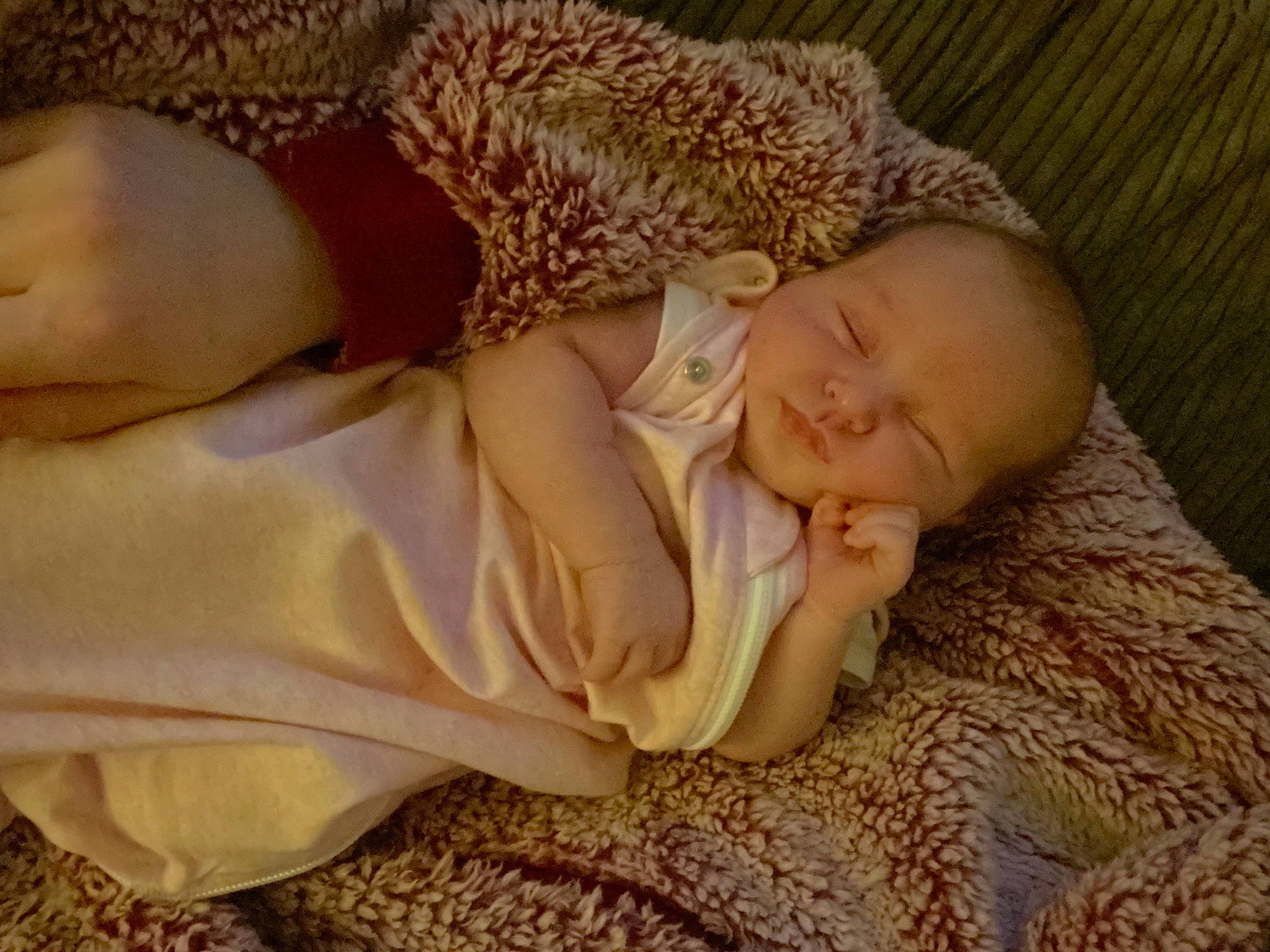 Hailey is registered to the contest to win money with this photo: baby, baby_sleeping, baby_toddler_clothing, bedtime, child, comfort, couch, eye, flooring, grass, hand, linens, nap, person, portrait_photography, skin, sleep, toddler, tree, wood