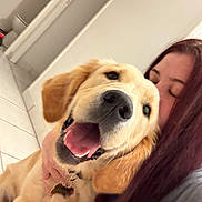 Oslo Et Lapis a rejoint le concours — aidez-le/la à gagner de superbes lots ! dog, golden_retriever, person, hug, affection, indoor, tiled_floor, smile, pet, happy, long_hair, close_up, canine, companion, love, face, collar, bond, cute, domestic_animal