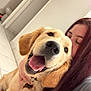 dog, golden_retriever, person, hug, affection, indoor, tiled_floor, smile, pet, happy, long_hair, close_up, canine, companion, love, face, collar, bond, cute, domestic_animal