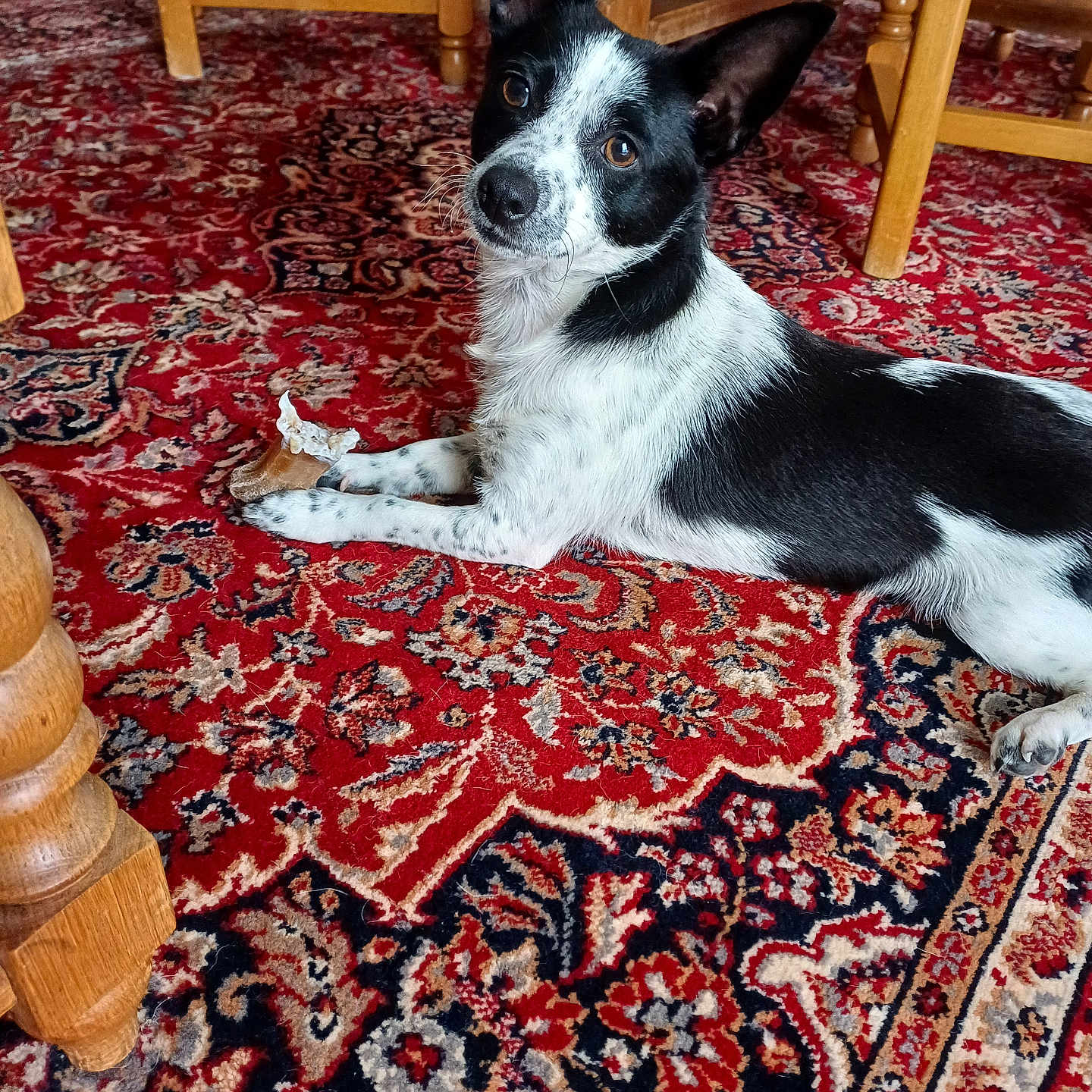 Ugo