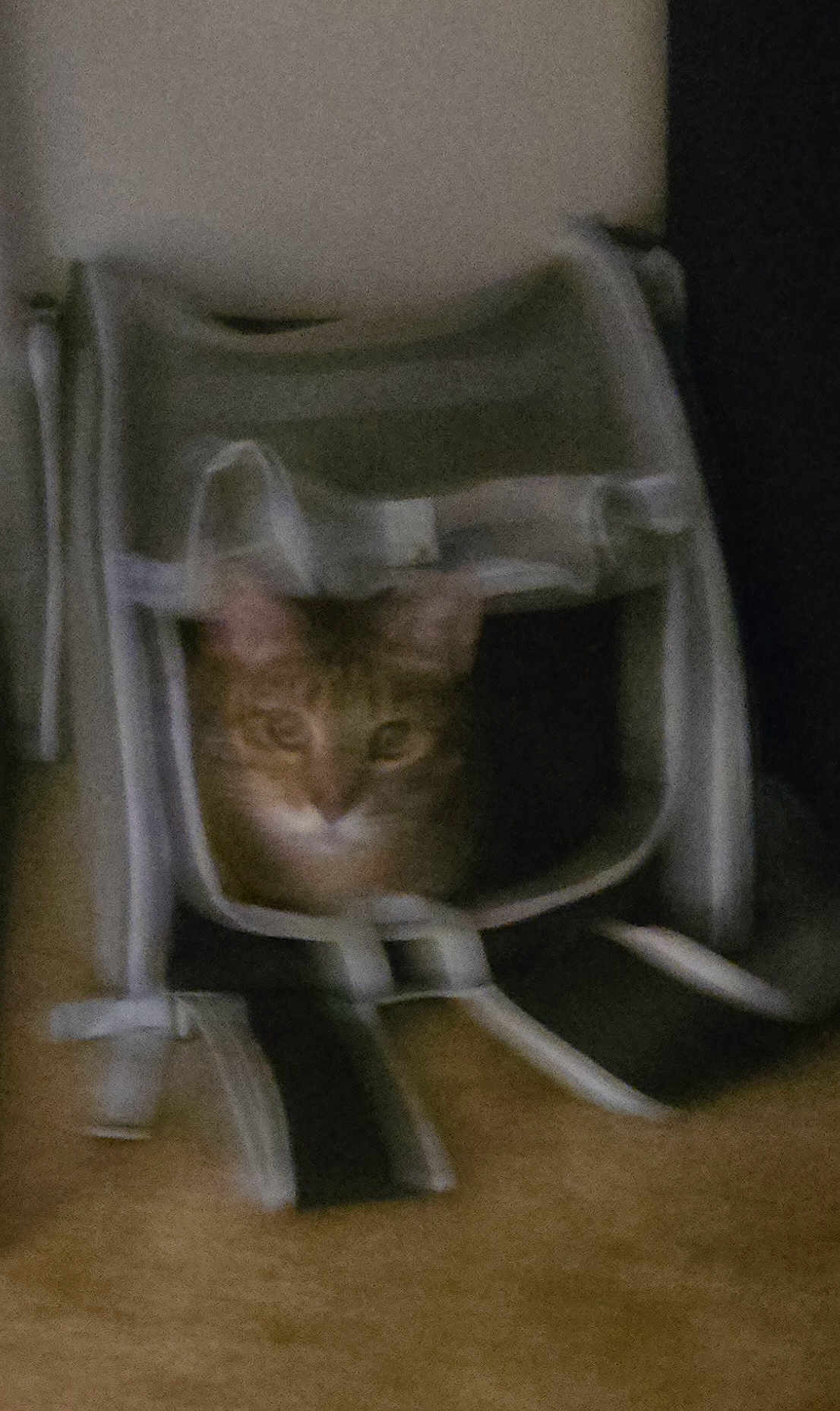 Penelope