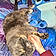Mokie