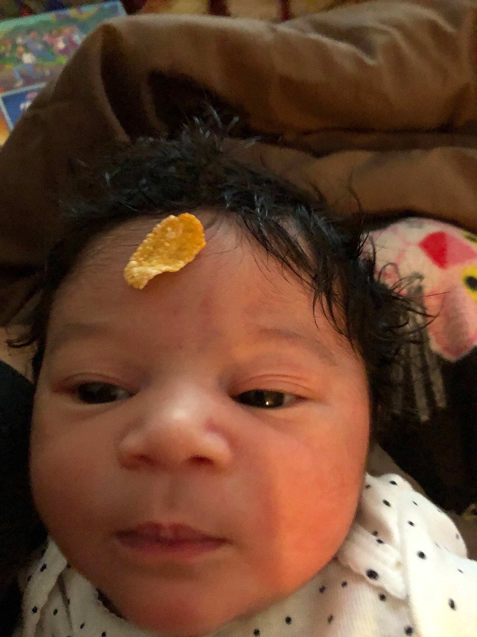 Melani is registered to the contest to win money with this photo: baby, cheek, child, chin, ear, eye, face, forehead, head, iris, lip, mouth, nose, person, skin, toddler