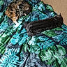 cat, bed, blanket, sleeping, resting, indoor, feline, patterned, green, blue, tabby, black_cat, cozy, pet, fur, relaxation, domestic_animal, cute, comfort, animal