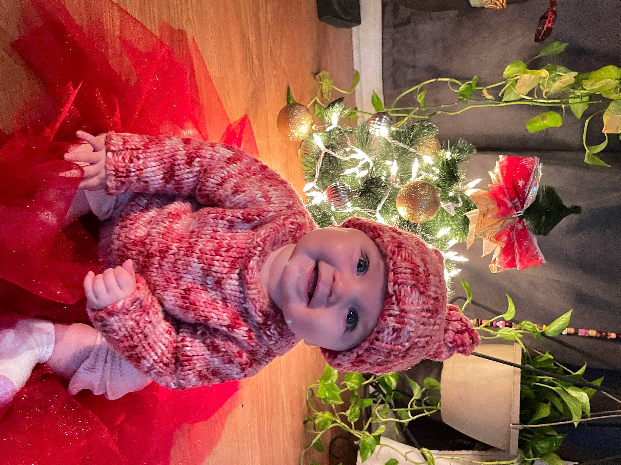 Ayla is registered to the contest to win money with this photo: christmas, christmas_decoration, christmas_eve, christmas_ornament, costume, doll, event, fashion_design, fawn, fictional_character, grass, happy, hat, headwear, holiday, joy, magenta, pattern, person, plant