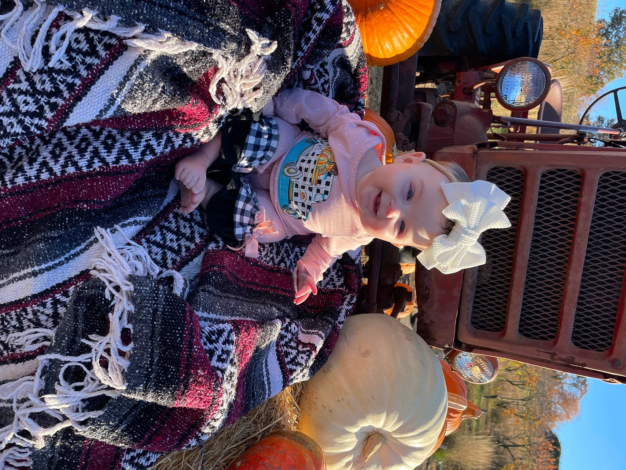 Ayla joined the competition — help win amazing prizes! beauty, black, city, event, fictional_character, fun, hat, headgear, headwear, holiday, joy, leisure, light, pattern, person, photograph, plant, sky, snapshot, toy