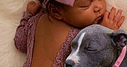 Maci is registered to the contest to win money with this photo: adorable, baby, child, collar, cuddling, cute, dog, fluffy, fur, lace, newborn, pet, pink, puppy, purple_bow, purple_outfit, resting, sleep, sleeping, soft