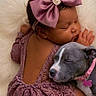 Maci is registered to the contest to win money with this photo: baby, sleeping, puppy, dog, purple_bow, purple_outfit, lace, newborn, cute, cuddling, pet, sleep, fluffy, collar, pink, fur, child, resting, adorable, soft