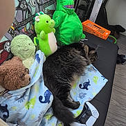 Lucky is registered to the contest to win money with this photo: cat, plush_toy, blanket, couch, remote_control, game_controller, floor, wood_floor, stuffed_animal, green_plush, brown_plush, black_couch, tabby_cat, sleeping_cat, indoor, toy, patterned_blanket, colorful_background, relaxed, cozy