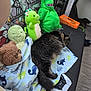 cat, plush_toy, blanket, couch, remote_control, game_controller, floor, wood_floor, stuffed_animal, green_plush, brown_plush, black_couch, tabby_cat, sleeping_cat, indoor, toy, patterned_blanket, colorful_background, relaxed, cozy
