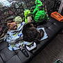 Lucky is registered to the contest to win money with this photo: cat, stuffed_toy, blanket, futon, remote_control, game_controller, couch, plush_toy, patterned_fabric, black_furniture, indoor, sleeping_cat, cozy, clutter, toy, soft_toy, living_room, flooring, decor, relaxing