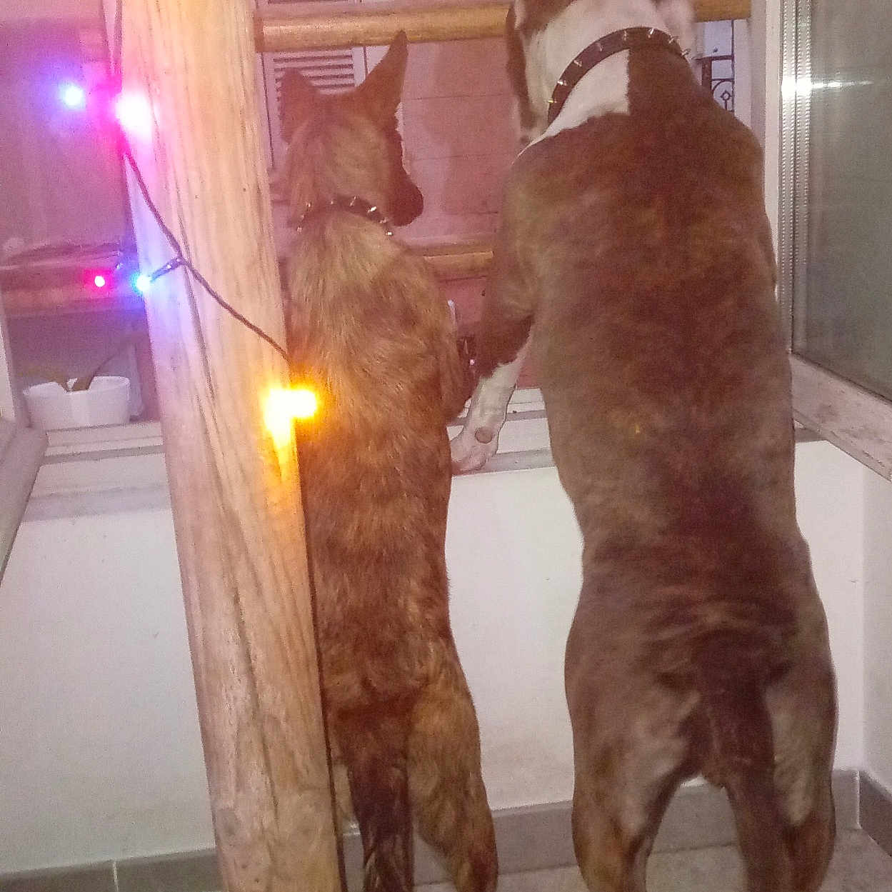 Kaia Et Arthimis