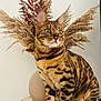 cat, bengal_cat, animal, pet, feline, fur, striped, green_eyes, whiskers, ears, vase, dried_plants, pampas_grass, fern, wood_slice, table, indoor, decor, portrait, sitting