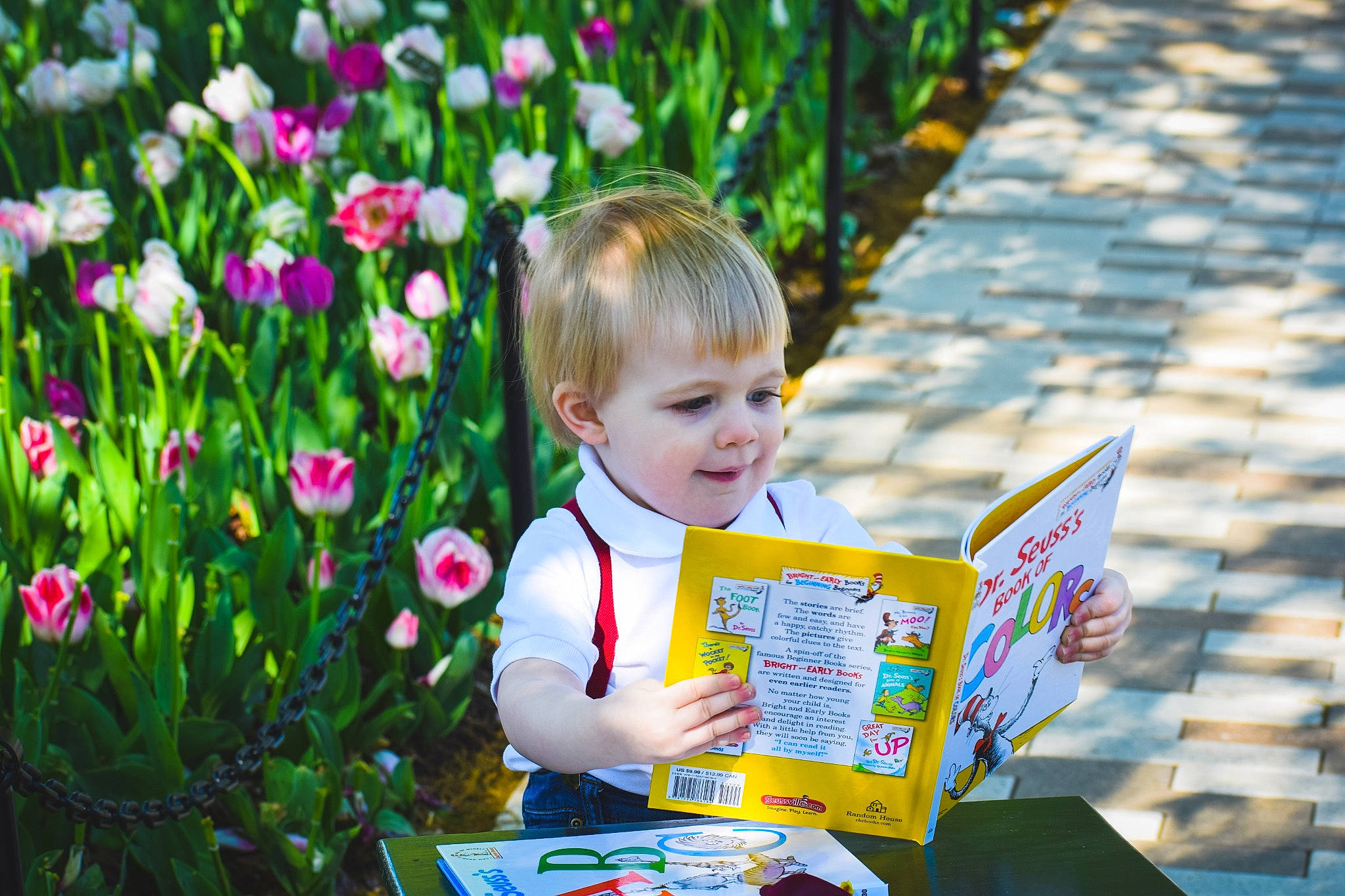 Sheamus joined the competition — help win amazing prizes! child, flower, joy, person, plant, spring, toddler, wildflower