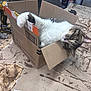 cat, cardboard_box, paw, workbench, tools, clutter, relaxed, feline, curious, indoor, box, striped_cat, white_fur, brown_fur, messy, workshop, table, animal, pet, resting