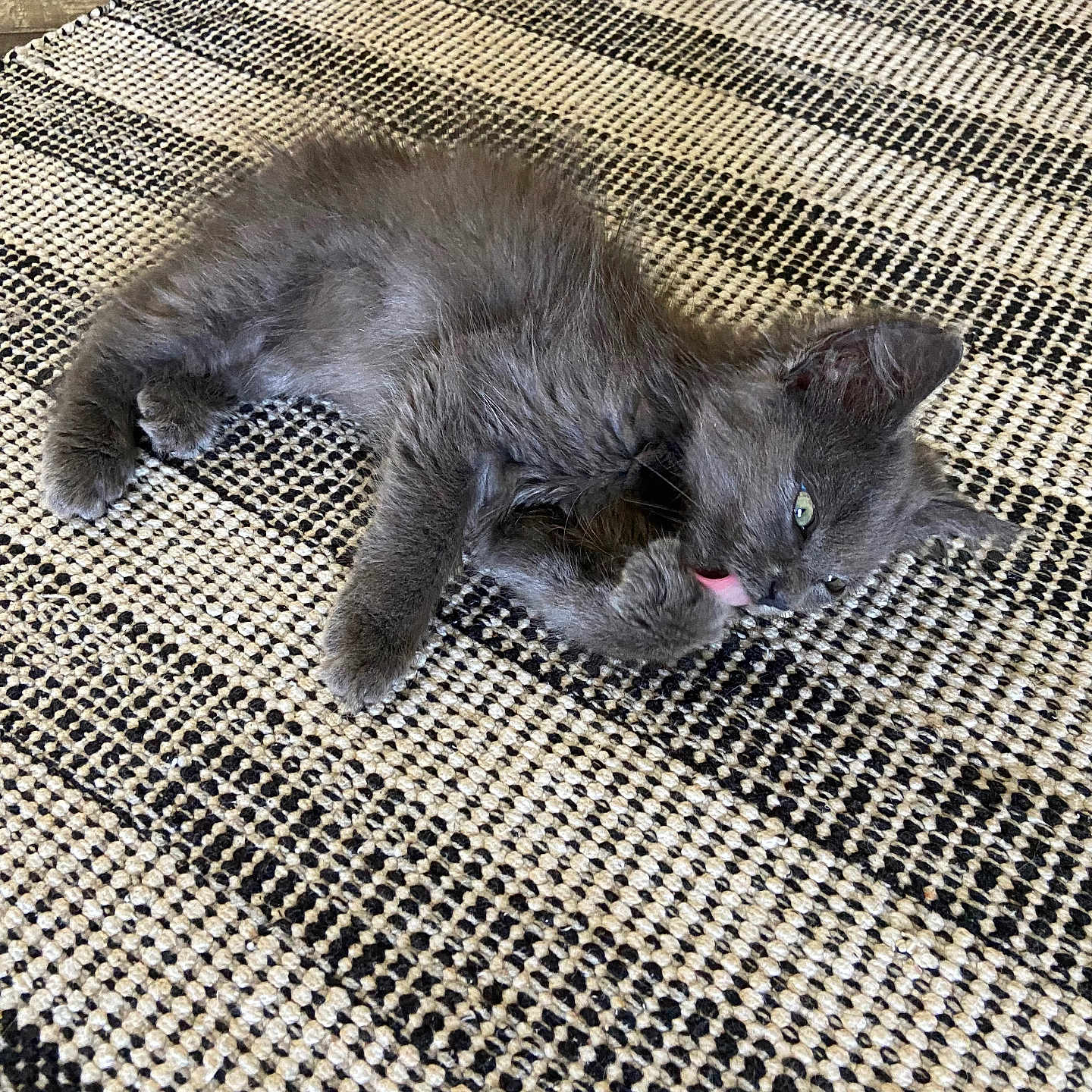 Lulu