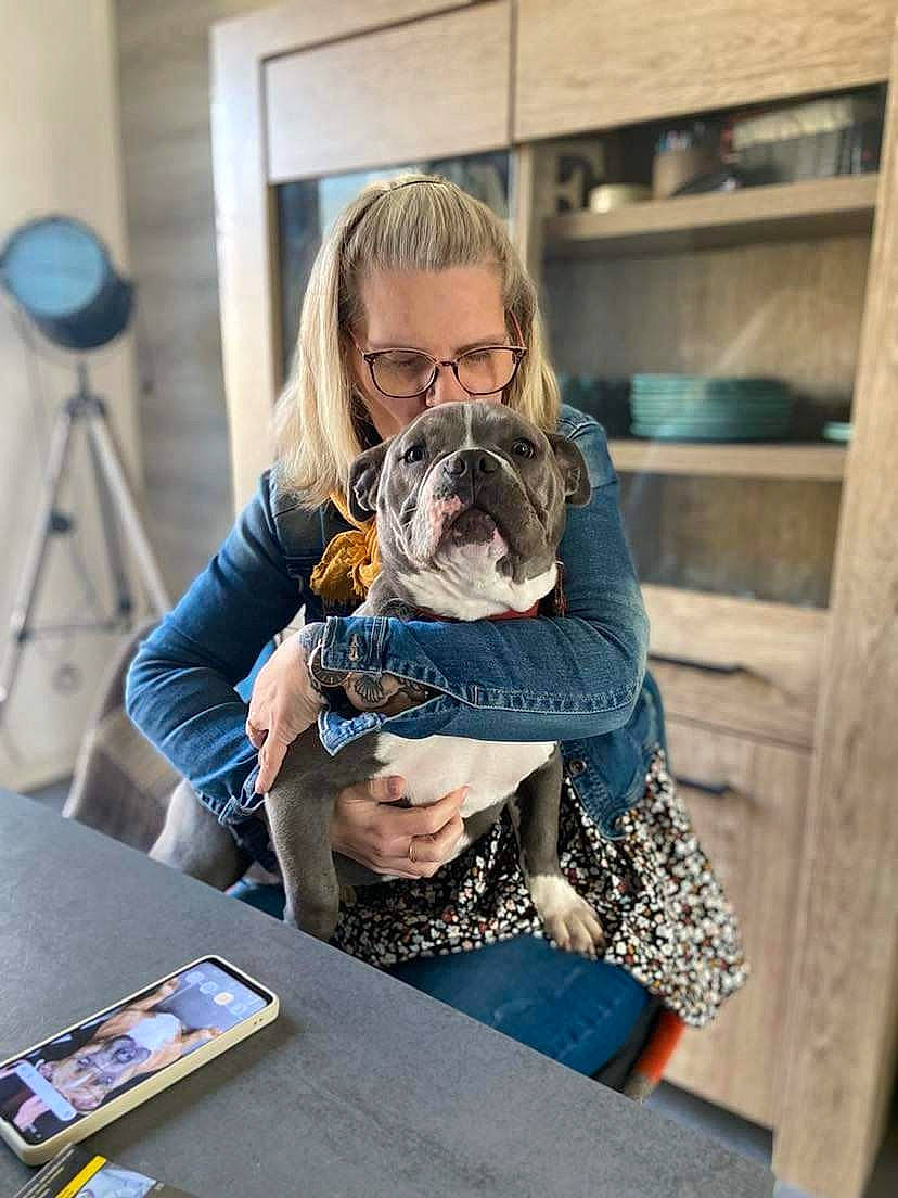 Prada participe au concours pour gagner de l'argent avec cette photo : blue, communication_device, companion_dog, eyewear, fashion_design, fawn, felidae, fun, fur, gadget, hair, illustration, job, leisure, recreation, room, sitting, tablet_computer, vision_care, visual_arts