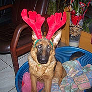 I'eva participe au concours pour gagner de l'argent avec cette photo :