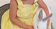 Isabella is registered to the contest to win money with this photo: child, girl, rabbit, yellow_dress, bow, curly_hair, pet, animal, cute, spring, garden, flowers, white_rabbit, sitting, adorable, young_child, portrait, outdoor, nature, tender_moment