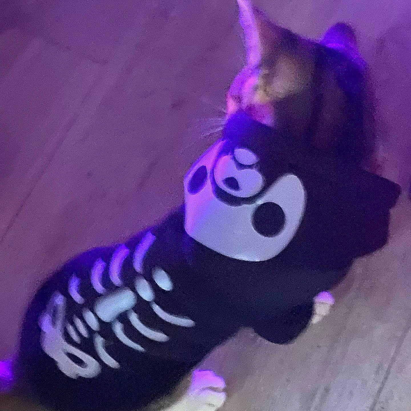 Kiyori joined the competition — help win amazing prizes! carmine, costume_hat, electric_blue, magenta, pattern, personal_protective_equipment, pink, purple, tail, toy, violet