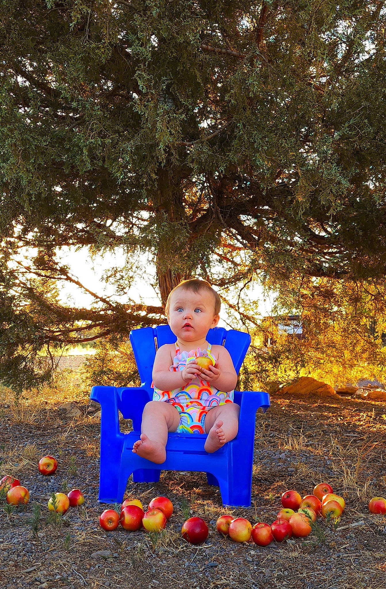 Elizabeth is registered to the contest to win money with this photo: adaptation, calabaza, child, cucurbita, fun, gourd, grass, happy, leg, leisure, natural_foods, orange, people_in_nature, person, plant, pumpkin, surprise, tints_and_shades, toddler, tree