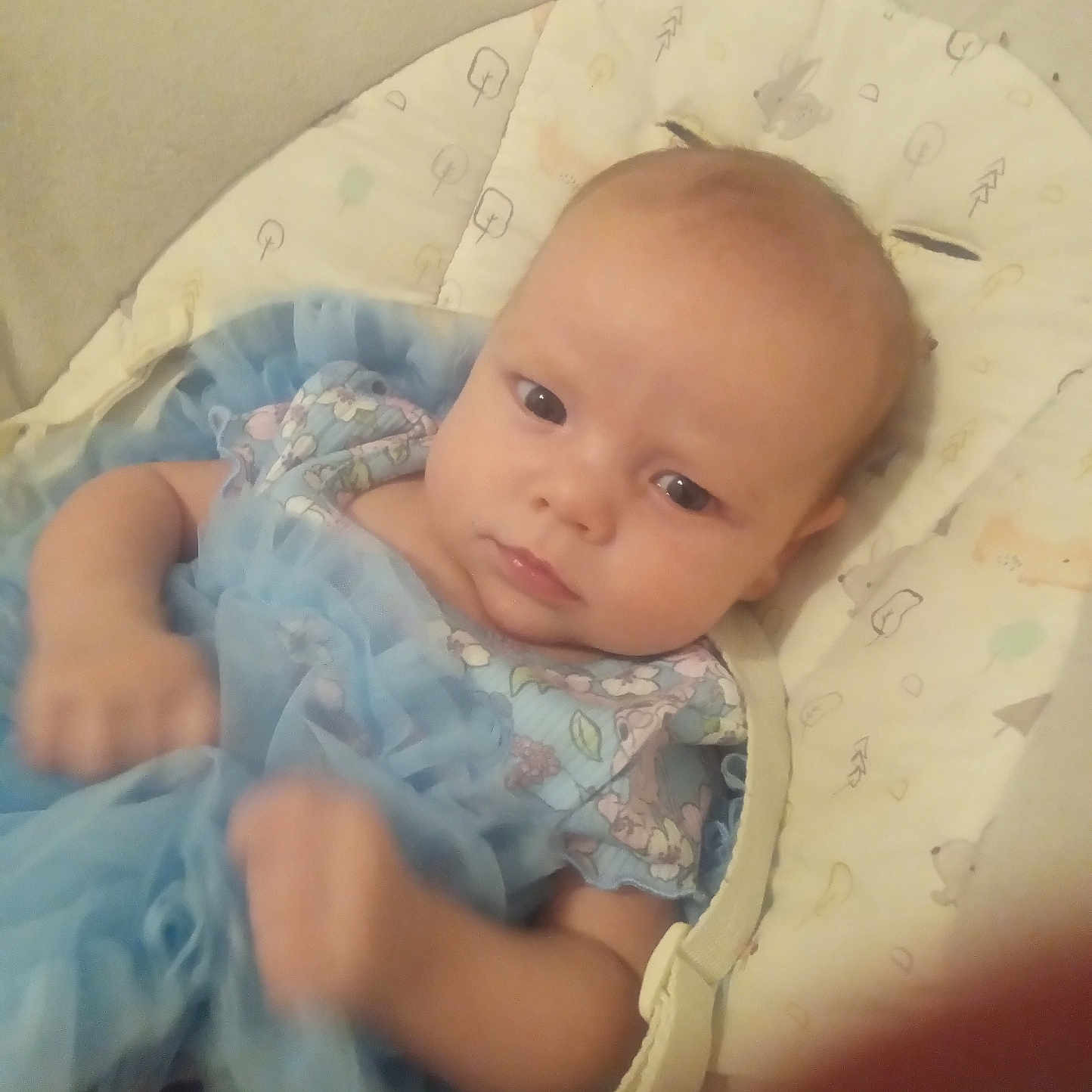 Aspen joined the competition — help win amazing prizes! animal_print, baby, blue_dress, child, clothing, cushion, cute, expression, eyes, face, hand, indoor, infant, laying_down, pattern, person, portrait, skin, soft_fabric, young