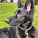 Xena