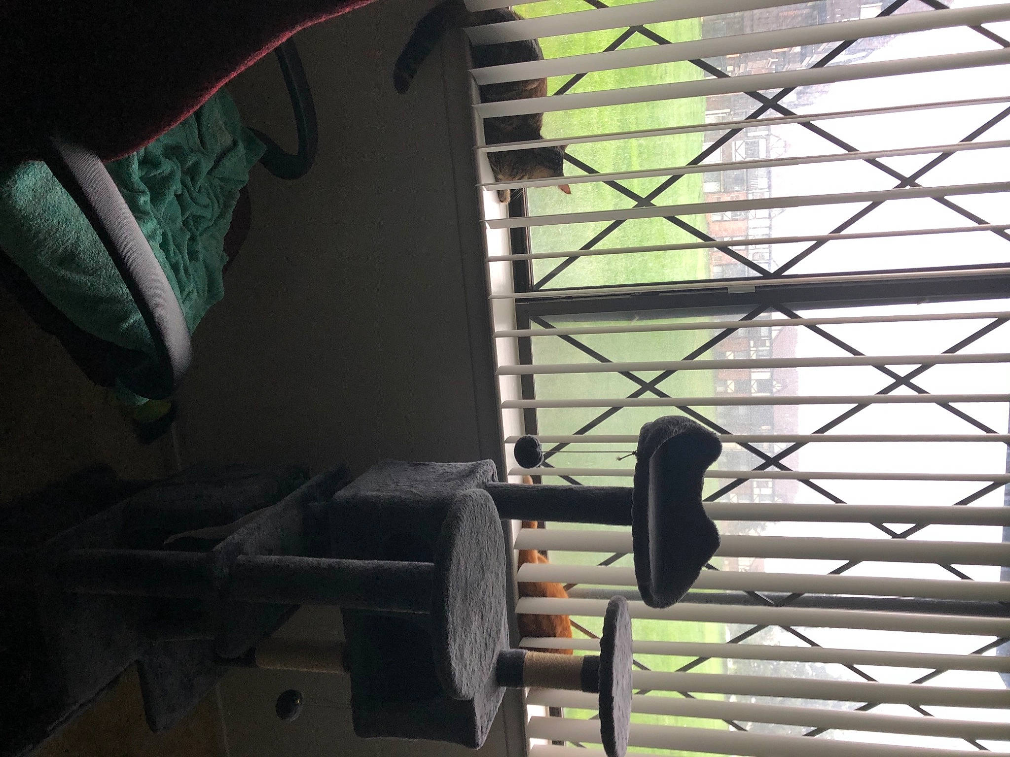 Dorito joined the competition — help win amazing prizes! auto_part, automotive_tire, automotive_wheel_system, daylighting, facade, gas, glass, machine, mesh, metal, pattern, rim, shadow, steel, symmetry, tints_and_shades, tire, tread, wheel, wood