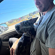 Storm is registered to the contest to win money with this photo: man, dog, car, window, seatbelt, cap, ear_gauges, short_sleeve_shirt, hand, sky, stop_sign, vehicle_interior, sunlight, casual, pet, portrait, seated, daytime, outdoor_view, affection