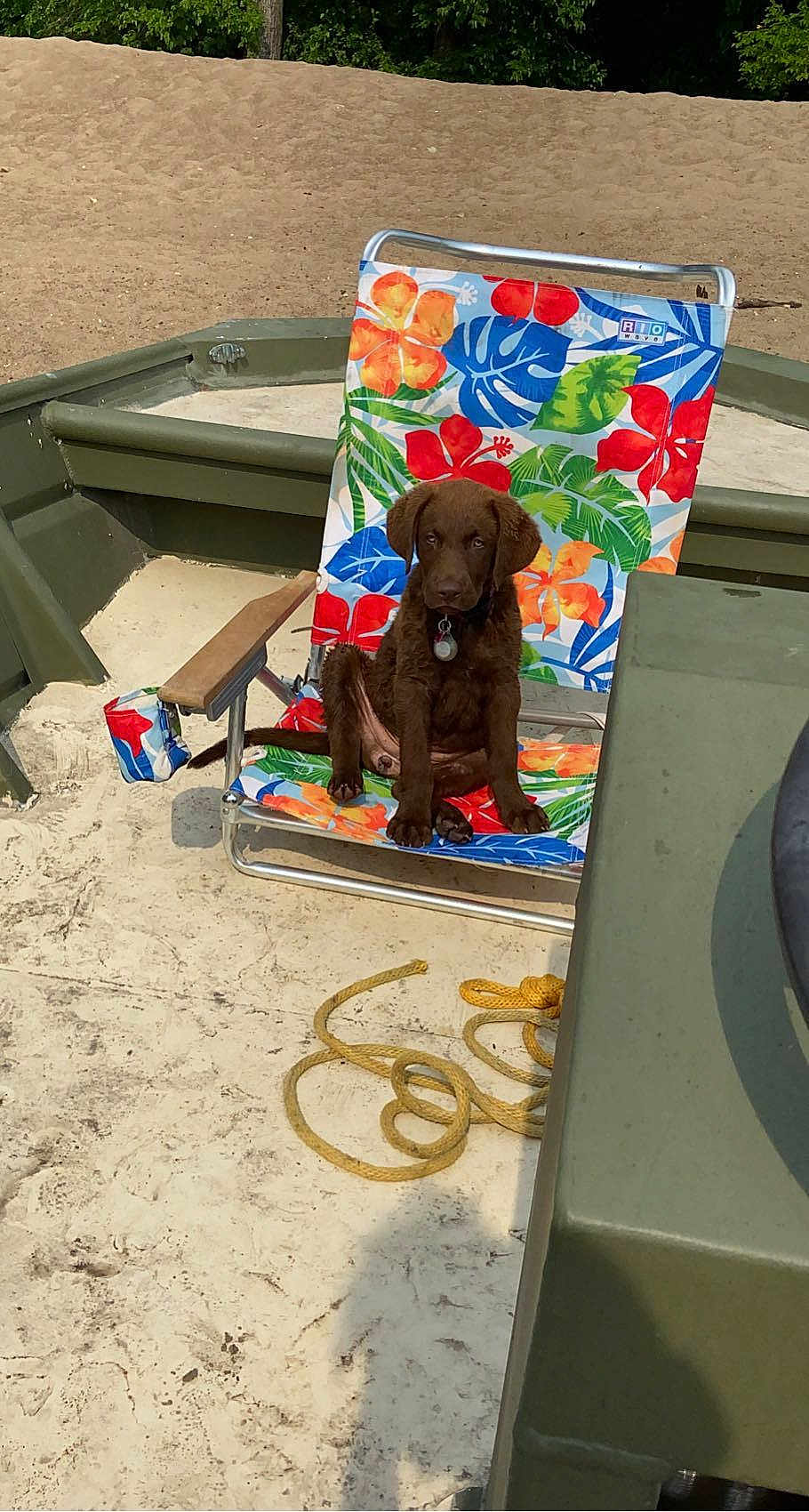 Charlie