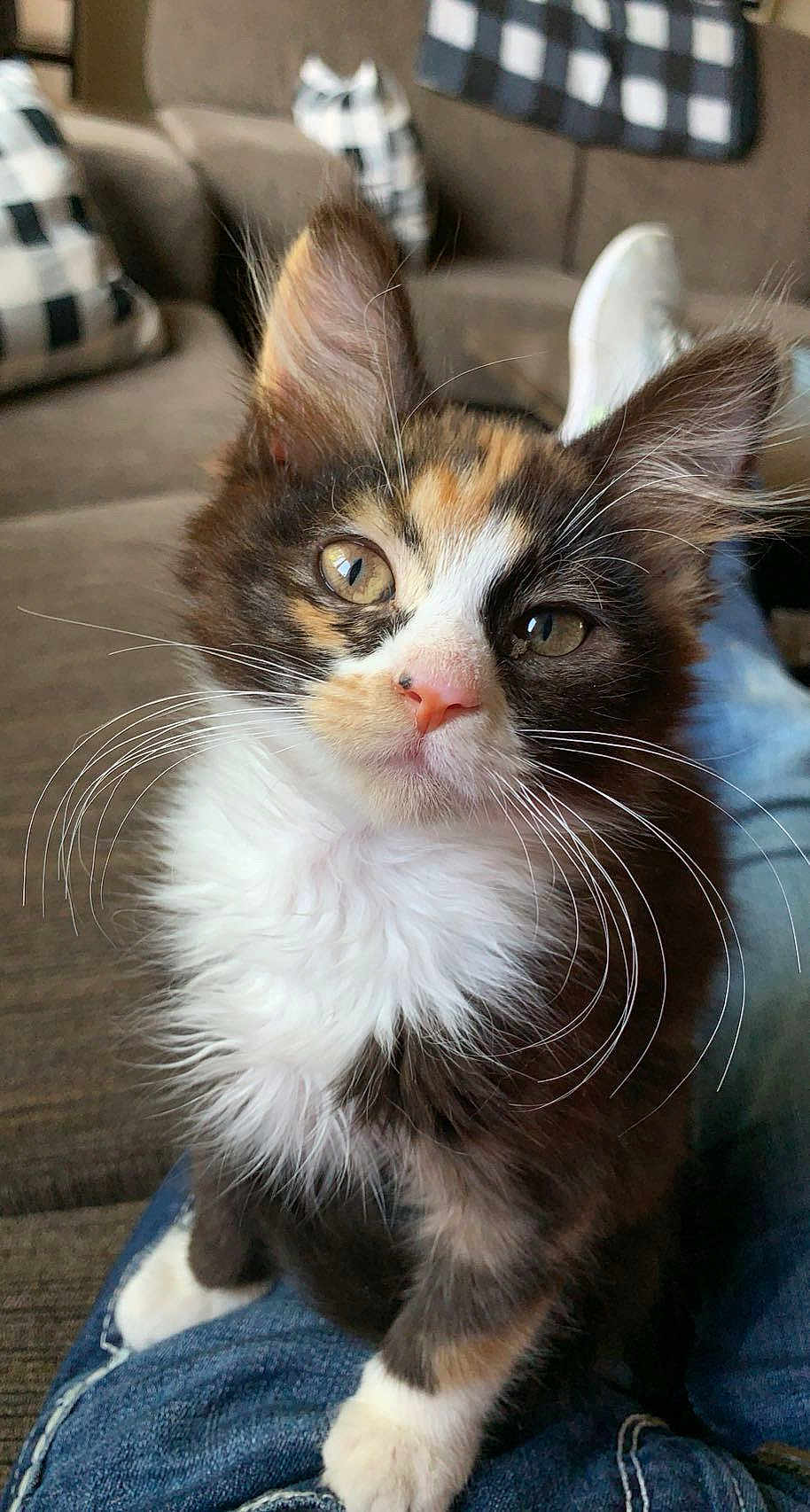 Lucy