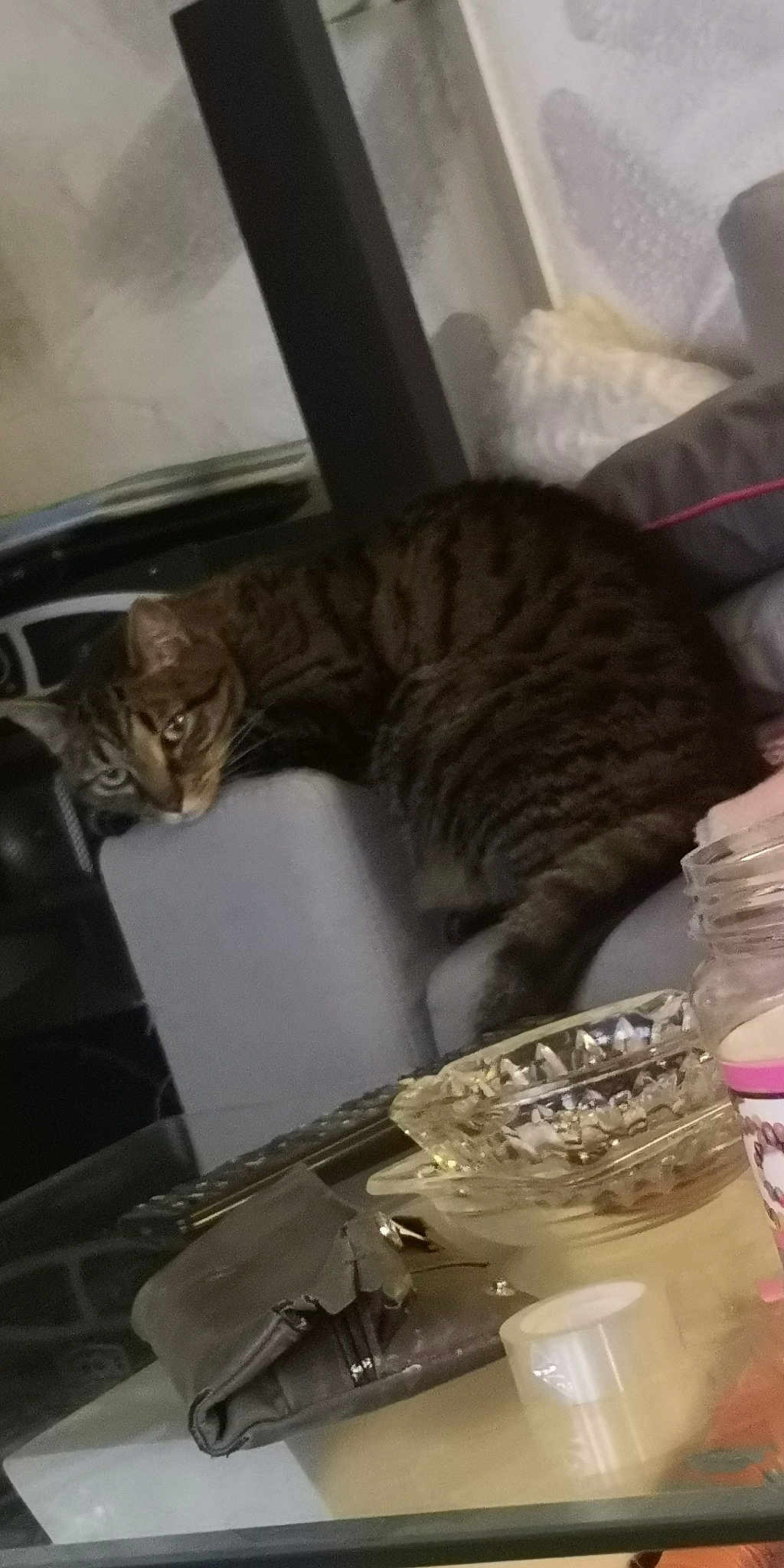 Tigrou