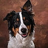 Rex participe au concours pour gagner de l'argent avec cette photo : dog, pet, tricolor, portrait, animal, friendly, ears, fur, canine, studio, brown_background, closeup, looking_at_camera, muzzle, whiskers, alert, cute, indoor, expression, smiling
