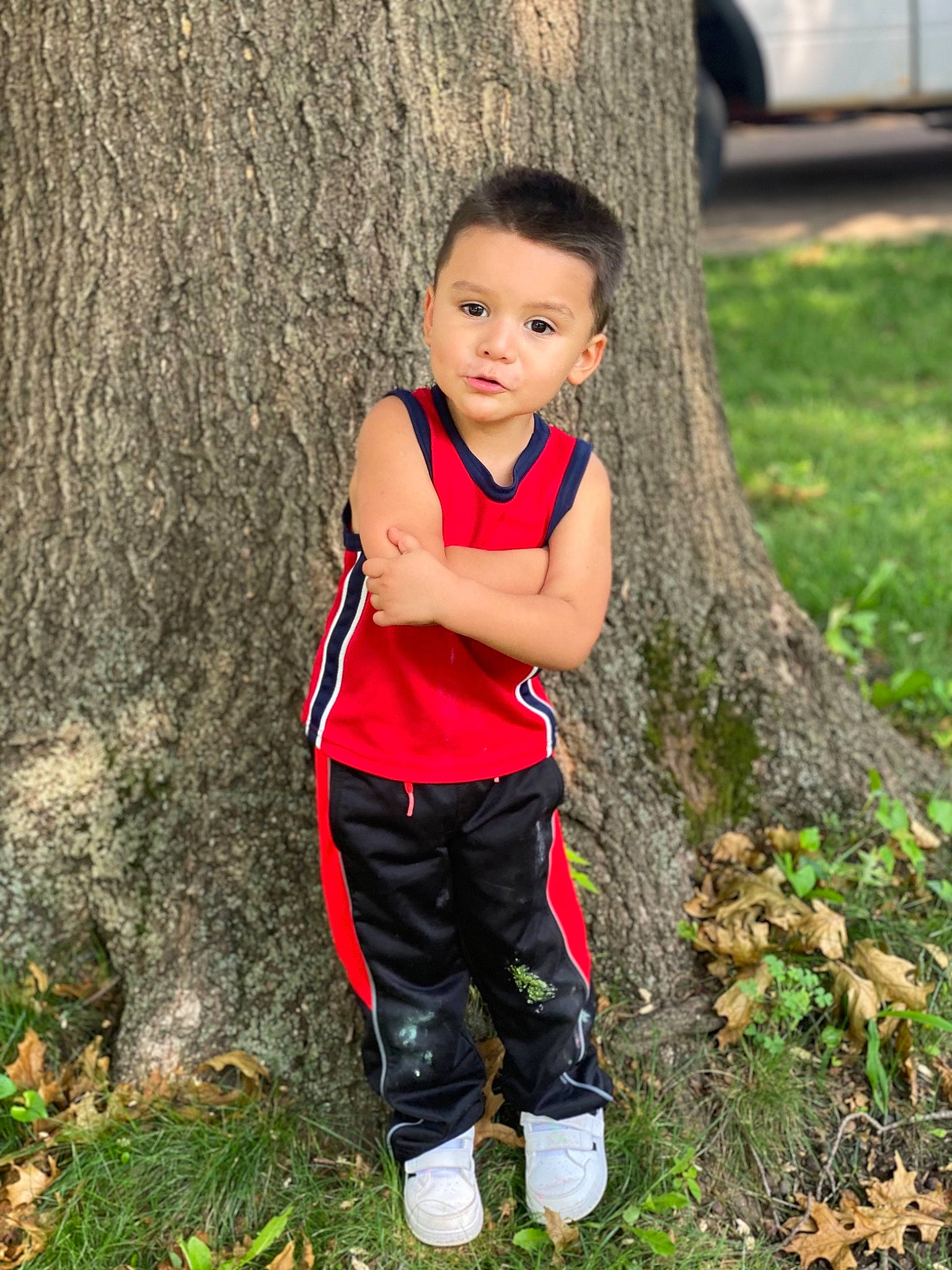 Emiliano is registered to the contest to win money with this photo: adaptation, arm, face, flash_photography, grass, happy, human_body, leisure, people_in_nature, person, plant, shoulder, sweatpant, t_shirt, toddler, tree, trunk, waist, wood, woody_plant