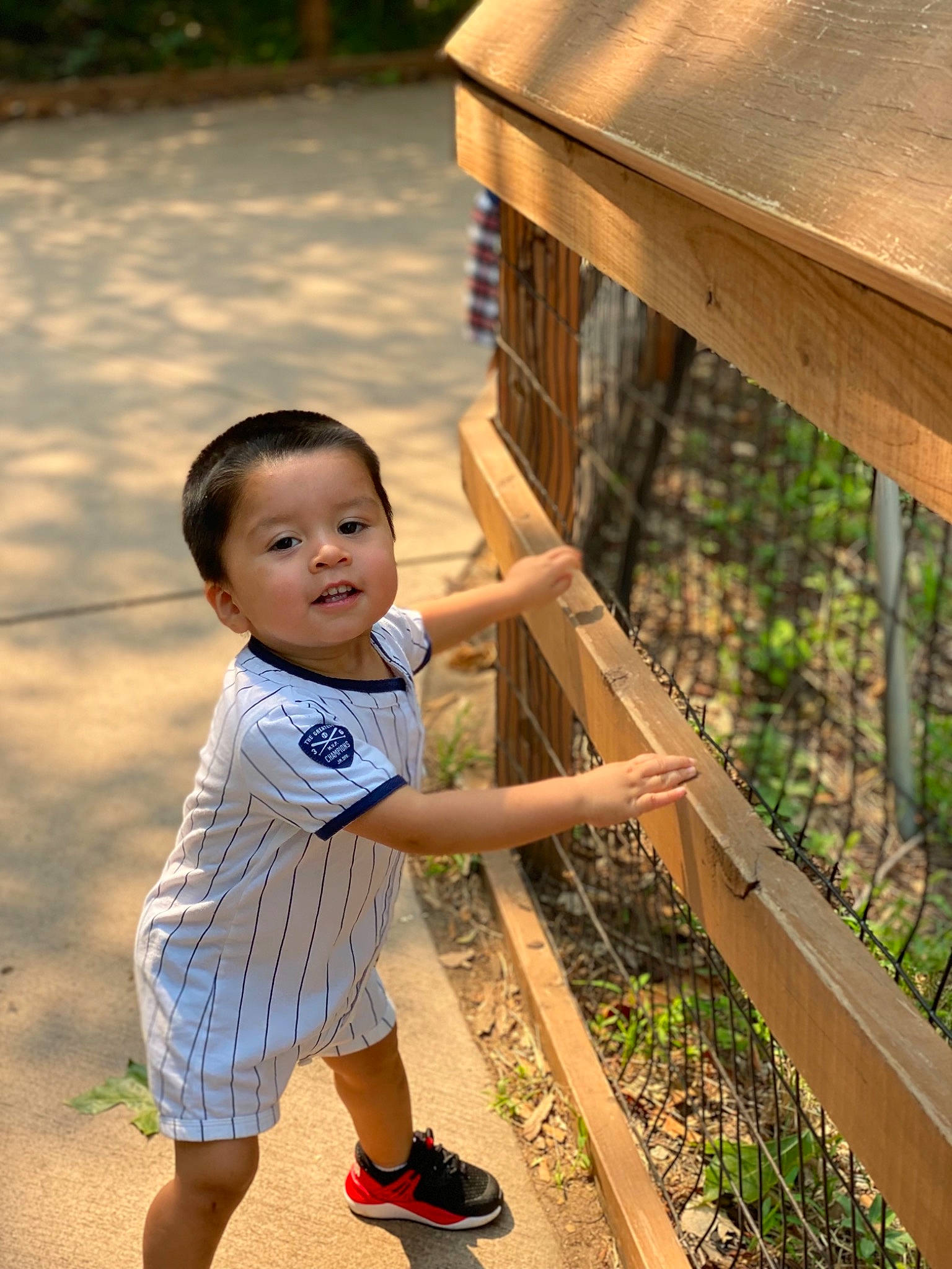 Bradley joined the competition — help win amazing prizes! baby_toddler_clothing, child, fun, grass, happy, hardwood, leisure, lumber, outdoor_furniture, people_in_nature, person, photograph, play, recreation, sandal, shorts, t_shirt, toddler, vacation, wood