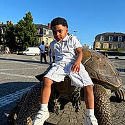 Darian participe au concours pour gagner de l'argent avec cette photo : child, boy, sculpture, turtle, bronze, outdoor, daytime, urban, square, building, sidewalk, people, casual, white_clothing, sneakers, shorts, trees, sky, statue, public_space