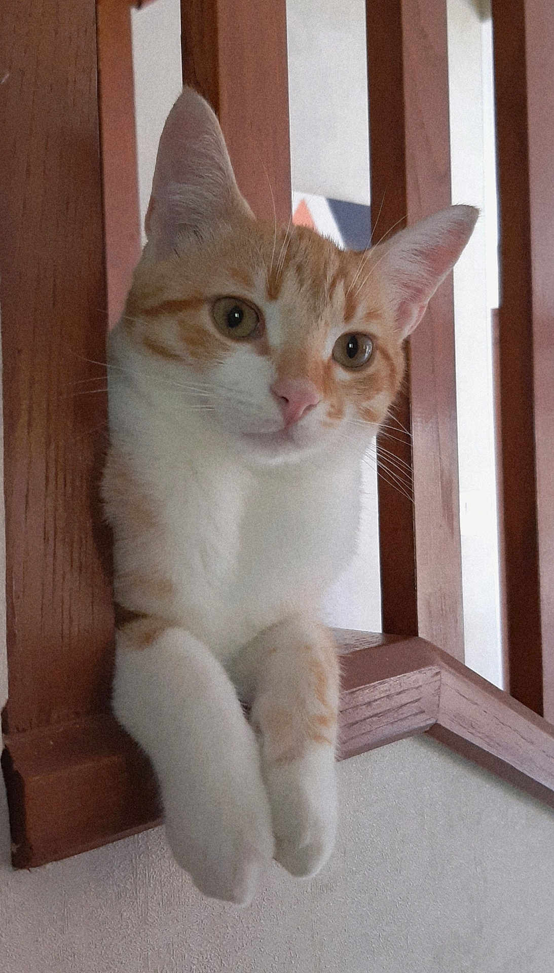 Tigrou
