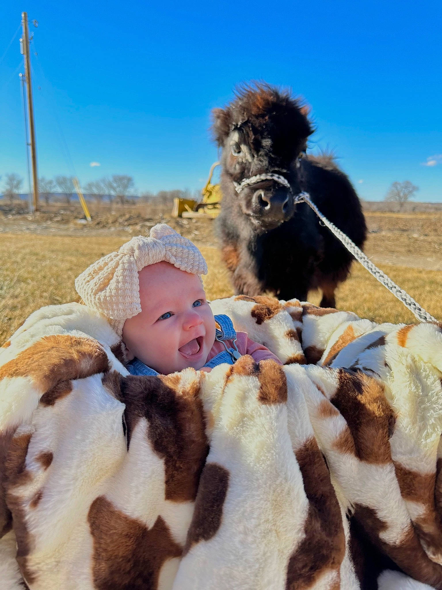 Aislynn joined the competition — help win amazing prizes! baby, carnivore, companion_dog, dog, dog_breed, fawn, fun, fur, happy, hat, headgear, headwear, landscape, people_in_nature, person, sky, sporting_group, toddler, tree, wilderness