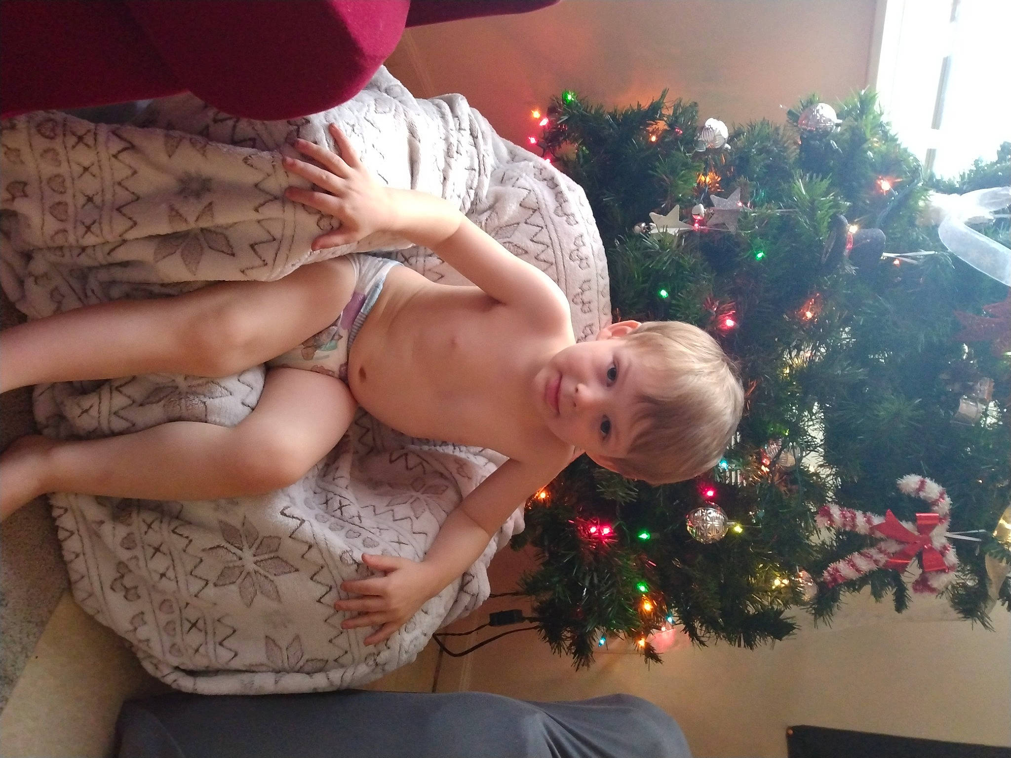 Bradlie joined the competition — help win amazing prizes! abdomen, arm, baby, christmas_ornament, christmas_tree, dress, eye, grass, hair, happy, hat, human_body, lap, leg, ornament, person, plant, thigh, toddler, tree